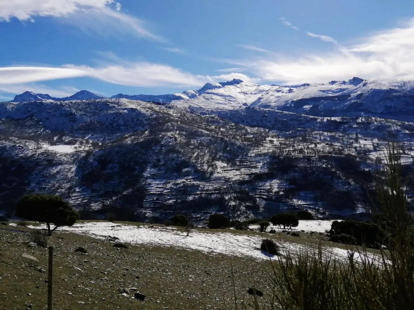 Apartamentos Sierra Nevada Park グエハル・シエラ エクステリア 写真