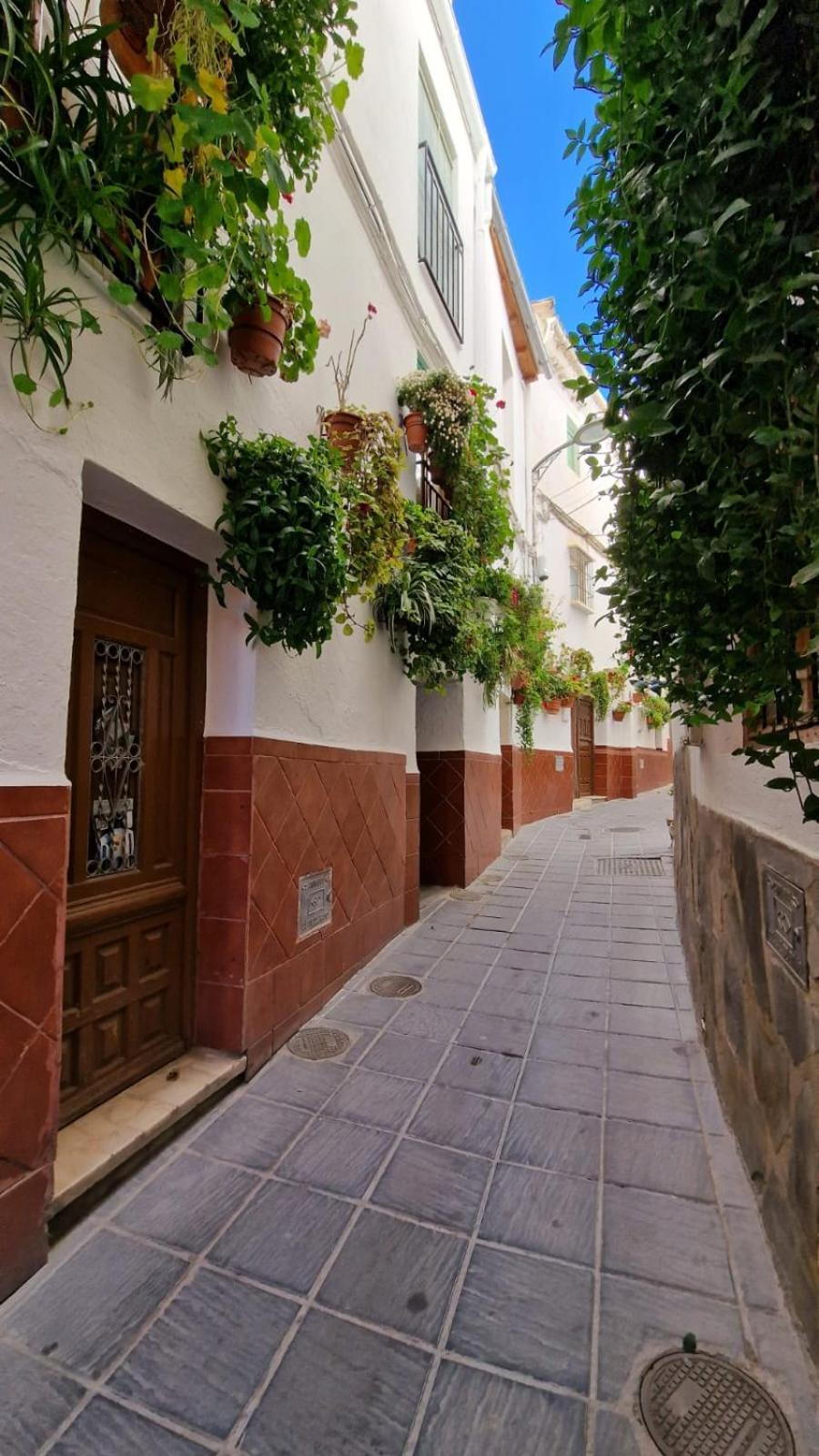 Apartamentos Sierra Nevada Park グエハル・シエラ エクステリア 写真